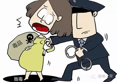 2016年初，涉縣警方查獲一起涉毒案件，鑒于該案涉案人員多、毒品交易量大，涉縣警方立即將案情上報，被公安部確立為“目標-2016-314”號毒品案件。涉縣警方成立專案組，經(jīng)過多方追查，先后抓獲團伙人員13名，繳獲毒品5349克，并查明上線“濮姐”的真實身份為陳某。